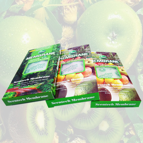 멤브렌 자동차방향제 아로마 꽃향기