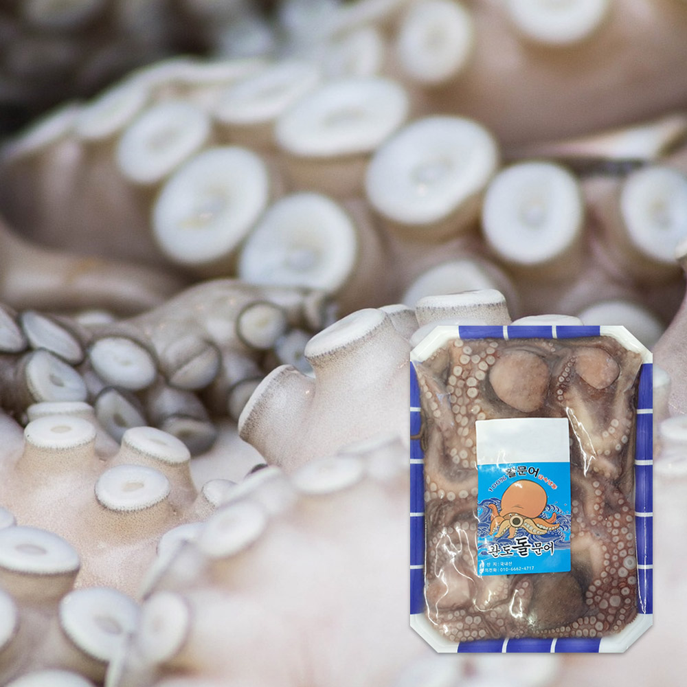 [PALDO] 급속냉동 완도 자연산 꼬마 돌문어 1kg 총3~5마리 1팩/2팩 (옵션 택1)