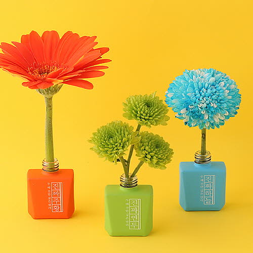 [모스티브] 칼라 젤 폴리시 진짜시리즈 12ml 3종세트(주황/연두/하늘)