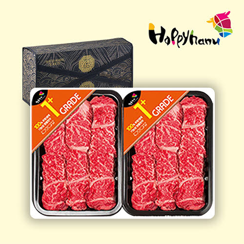 [김상준한우] 한우 1+등급 정성가득 선물세트 프리미엄 등심1kg (500g*2)