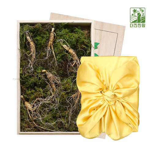[더진한팜] 기운내삼 6-7년근 산양산삼 6뿌리