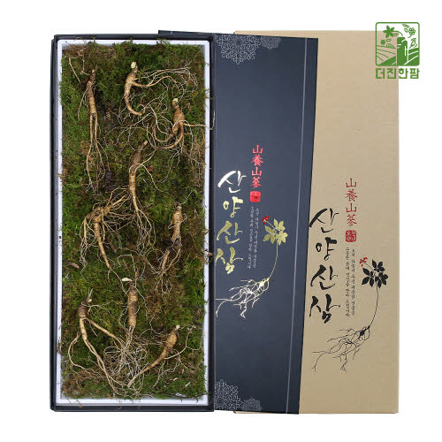 [더진한팜] 기운내삼 8-9년근 산양산삼 9뿌리