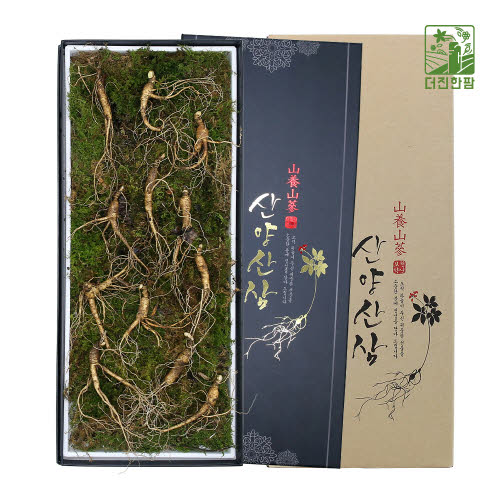 [더진한팜] 기운내삼 8-9년근 산양산삼 12뿌리