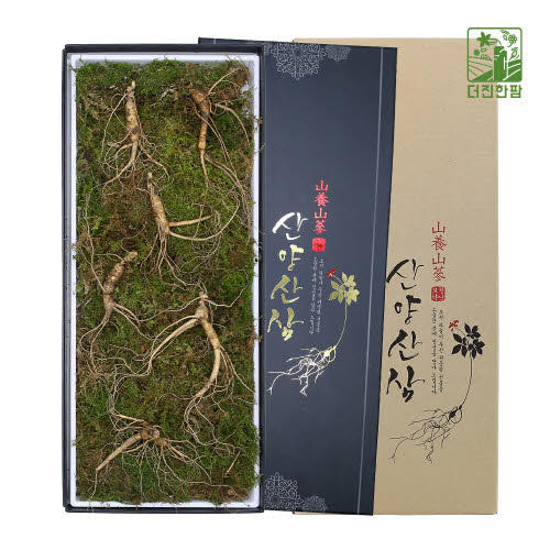 [더진한팜] 기운내삼 10년근 산양산삼 6뿌리