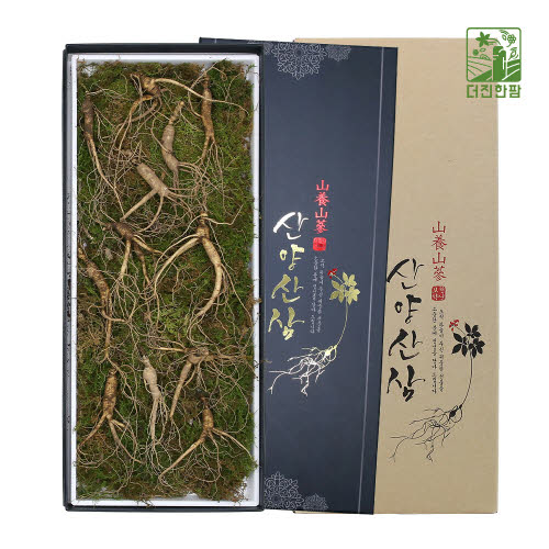 [더진한팜] 기운내삼 10년근 산양산삼 12뿌리