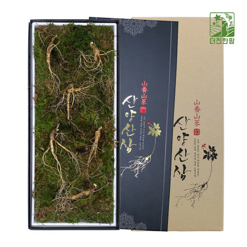 [더진한팜] 기운내삼 8-9년근 산양산삼 6뿌리