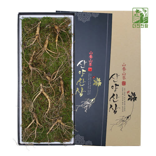 [더진한팜] 기운내삼 10년근 산양산삼 9뿌리