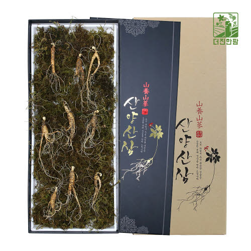 [더진한팜] 기운내삼 6-7년근 산양산삼 9뿌리