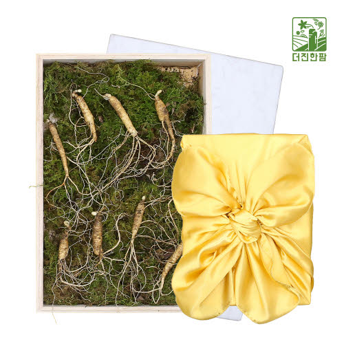 [더진한팜] 기운내삼 5년근 산양산삼 9뿌리