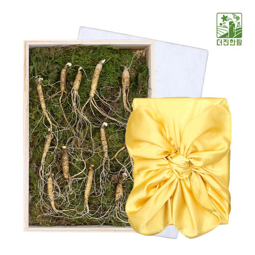 [더진한팜] 기운내삼 5년근 산양산삼 12뿌리