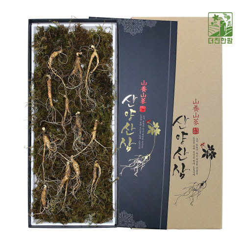 [더진한팜] 기운내삼 6-7년근 산양산삼 12뿌리