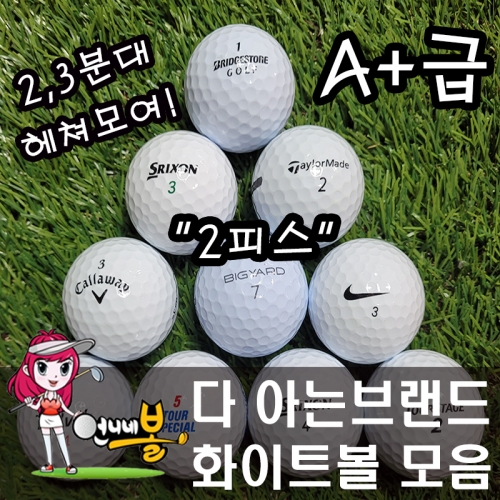 [언니네볼] 로스트볼 06) 다 아는 브랜드 2피스 화이트볼 혼합 (A+급 30알)