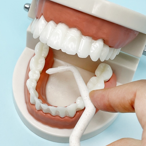 [유이앤루이] 친환경 PLA 교정용 어금니칫솔