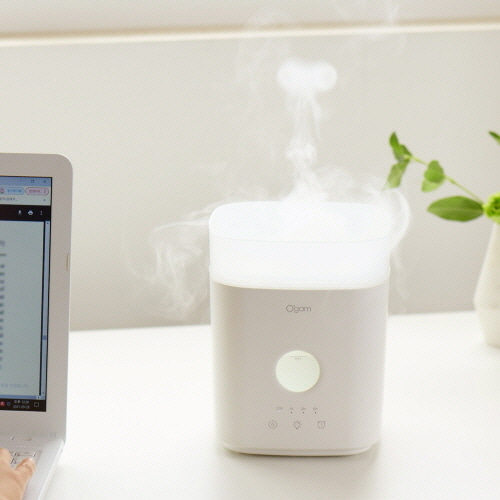 [에버홈] 오감 구름가습기 OG-HU500