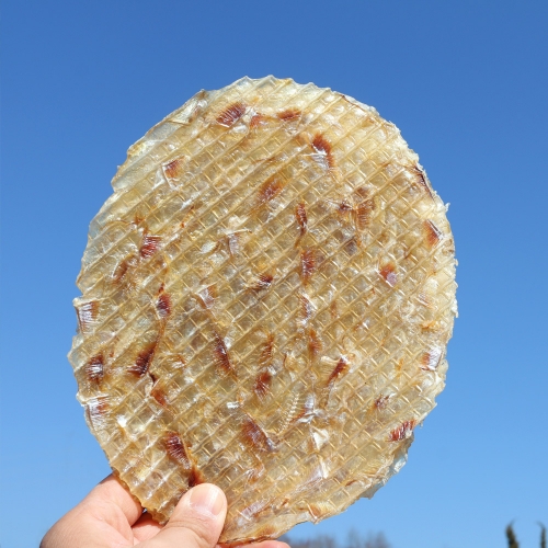 옛날 왕 큰 얼굴쥐포 20장 960g내외