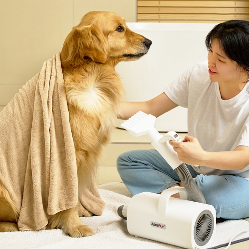 페페 앱스퍼 리모콘 컨트롤 초강력 에어탱크 드라이기 풍량 온도 조절형 AT-100