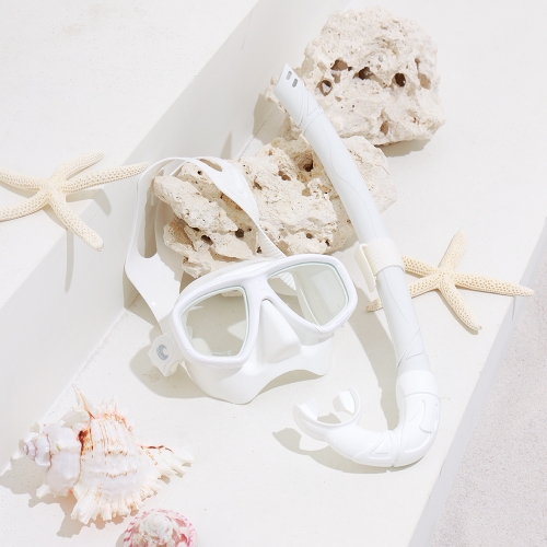 [오션테그] 소울 스노클링 마스크 세트 (5 COLOR)