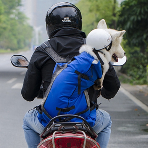 레드퍼피 라이더 애견배낭 XL(그레이)