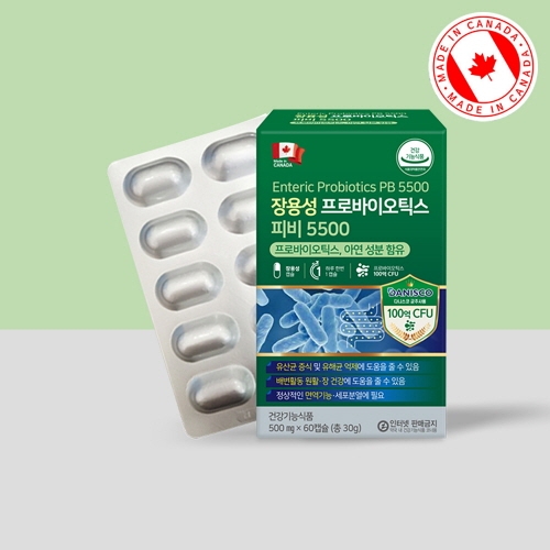 [PDH] 캐나다산 장용성 프로바이오틱스 피비5500 500mg x 60캡슐 (2개월분)
