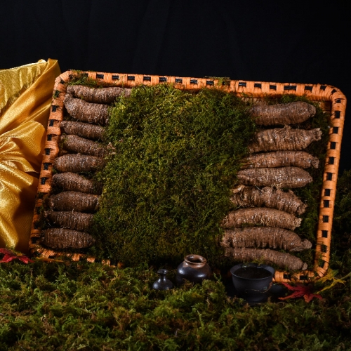 [더 기다림] 리얼 골드명작 더덕 프리미엄 특대 선물세트 1.2kg