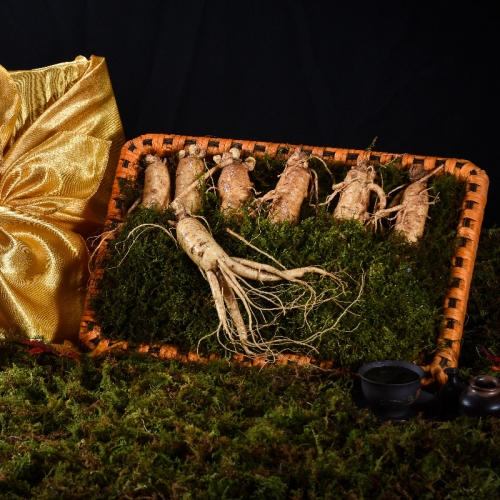 [더 기다림] 리얼 골드명작 수삼 선물세트 2호 7뿌리(500g)+채반