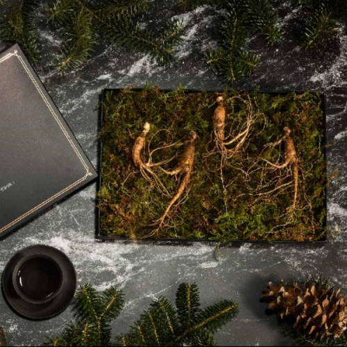 [더기다림][선물포장] 더 기다림 편하게 먹는 강원도 토종 산양삼 선물세트 1호 4뿌리 [5년~6년근]