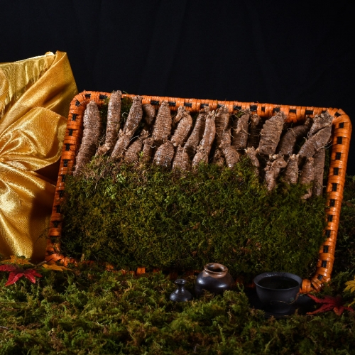 [더 기다림] 리얼 골드명작 더덕 프리미엄 특상 선물세트 2호 1kg