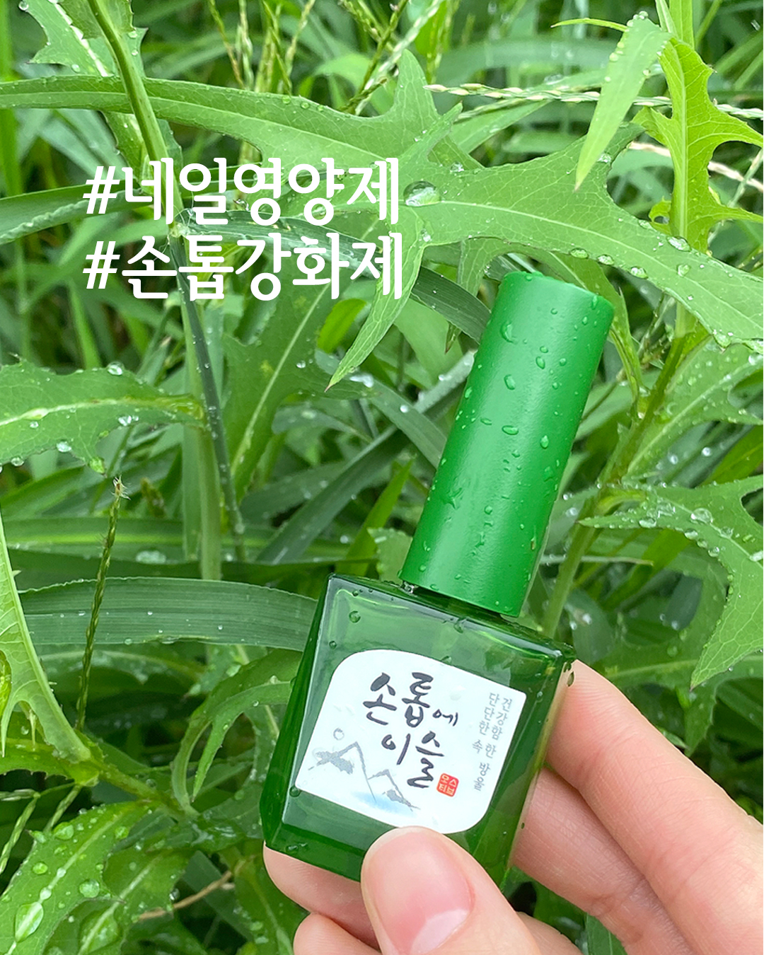 [모스티브] 손톱에 이슬 손톱영양제 12mlx6개입