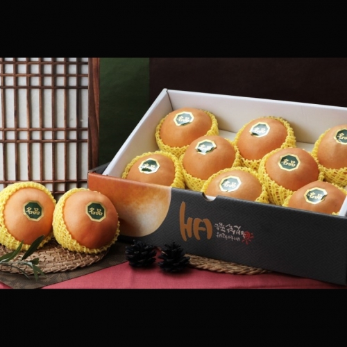 [웰빙나주배] 나주 신고배 선물세트 5kg 7-8과