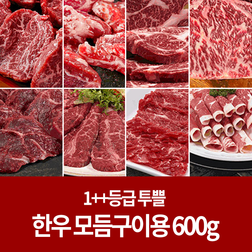 [숙성 한우] 소고기 1++등급 모듬구이용 600g