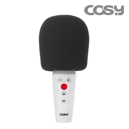 [COSY] 킹스빅헤드듀엣 블루투스마이크